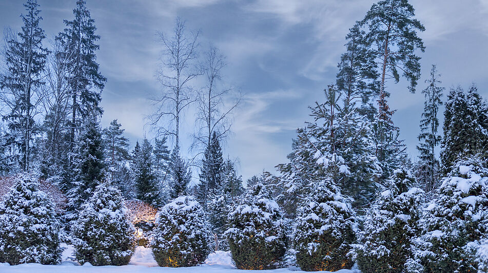 Дом в кп Никольская слобода