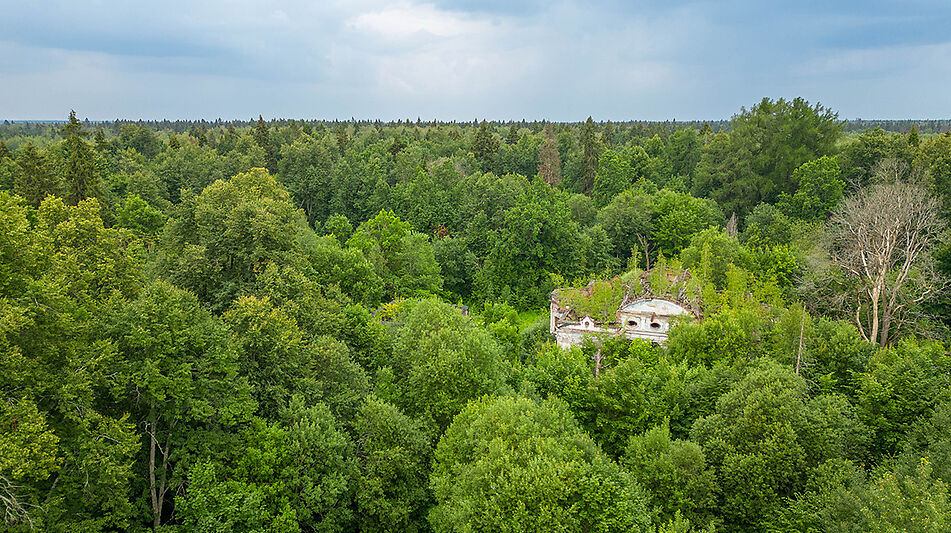 Усадьба в КП Николо-Прозорово
