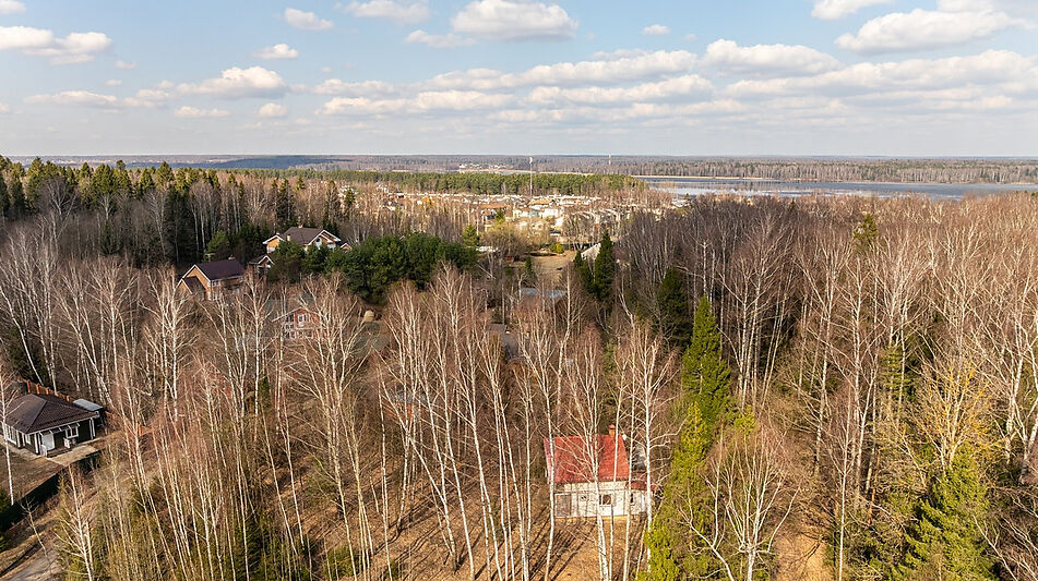 Лесной участок в Николо-Прозорово