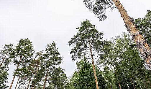 Дом в кп Усадьба СНТ