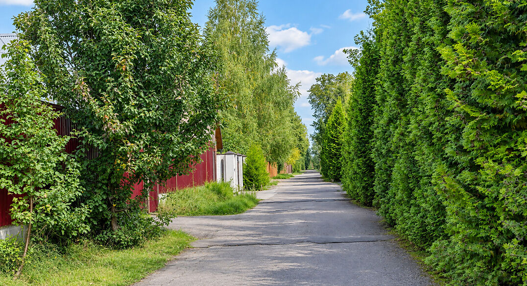 Северное
