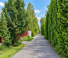 Северное