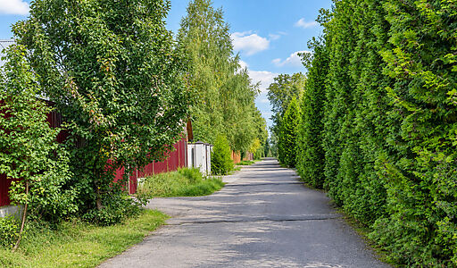 Северное