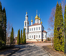Дом в закрытом поселке.