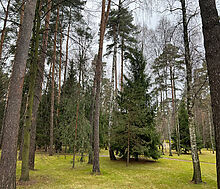 Уникальный участок КП Троицкое