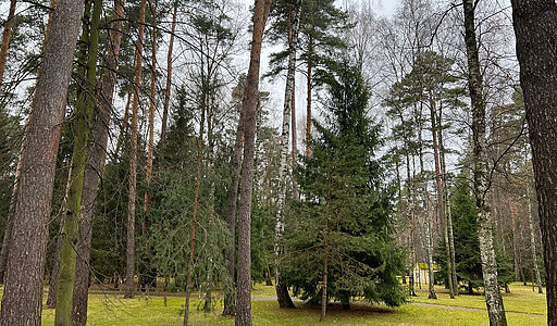 Уникальный участок КП Троицкое