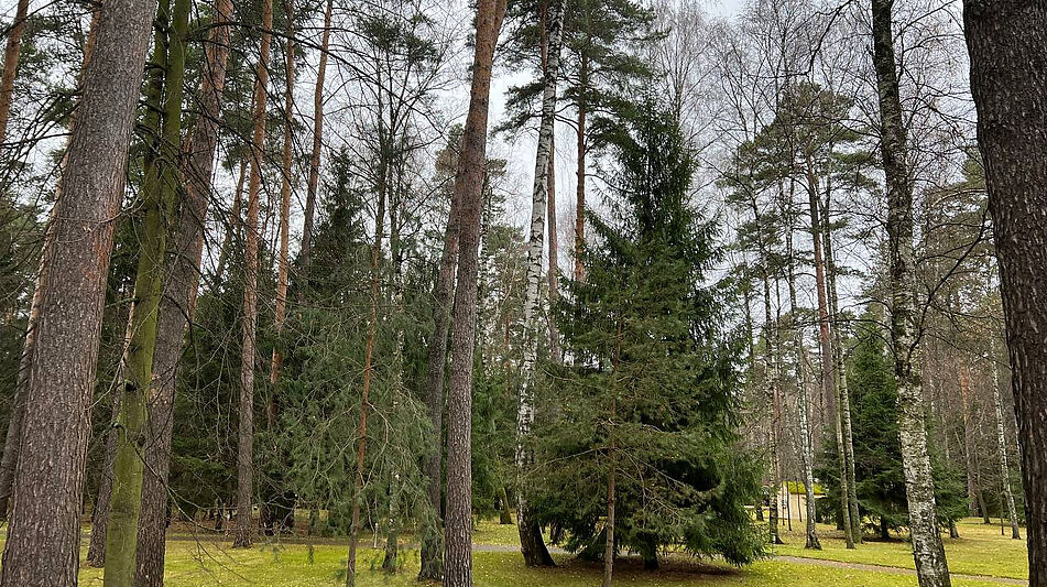 Уникальный участок КП Троицкое