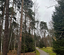 Уникальный участок КП Троицкое