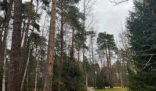 Уникальный участок КП Троицкое