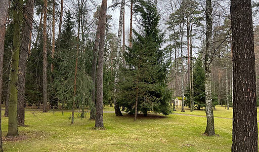 Уникальный участок КП Троицкое