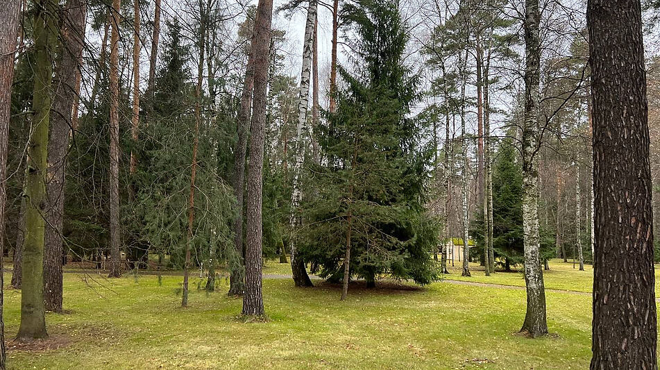 Уникальный участок КП Троицкое