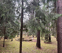 Уникальный участок КП Троицкое