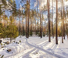 Дом в Кп Николина Слобода