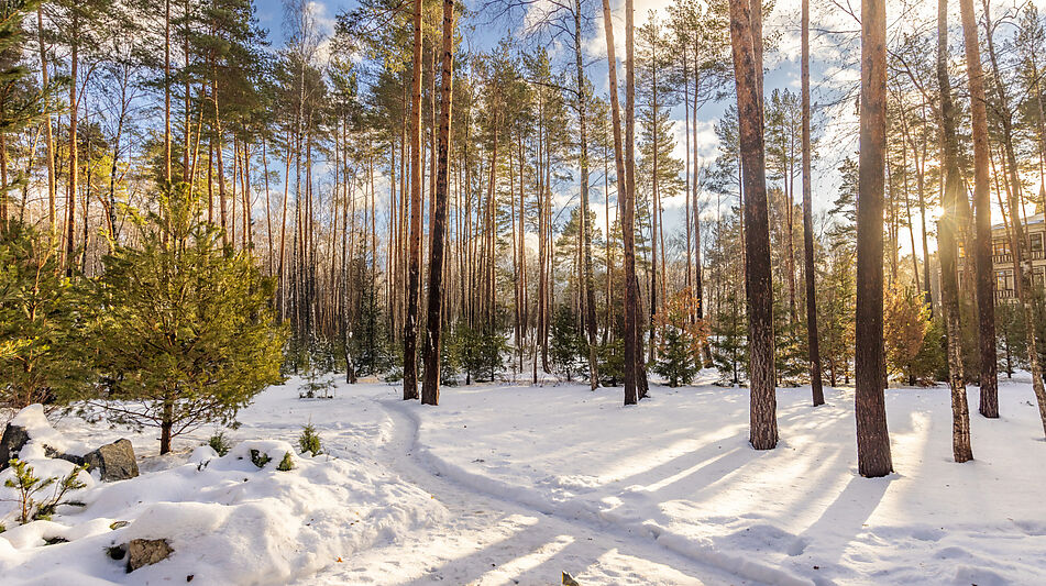 Дом в Кп Николина Слобода