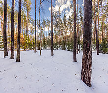 Дом в Кп Николина Слобода