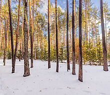 Дом в Кп Николина Слобода