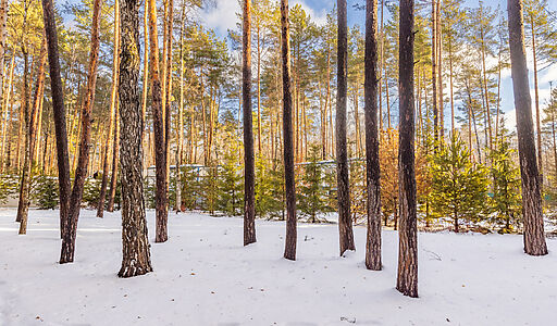 Дом в Кп Николина Слобода