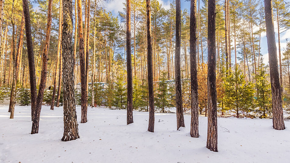 Дом в Кп Николина Слобода