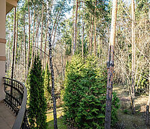 Дом у леса в КП Николина гора