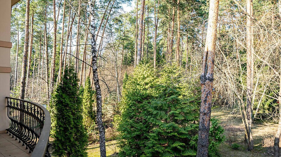 Дом у леса в КП Николина гора