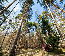 Дом у леса в КП Николина гора