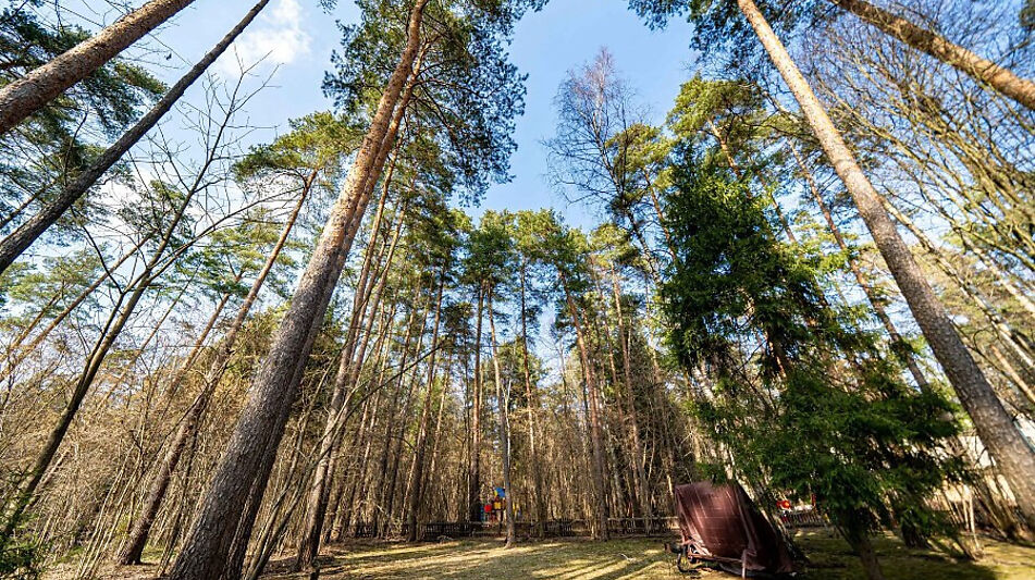 Дом у леса в КП Николина гора