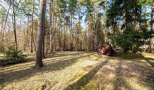 Дом у леса в КП Николина гора