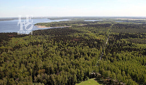 Участок в Витенево