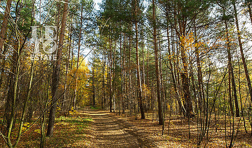 Участок в Витенево