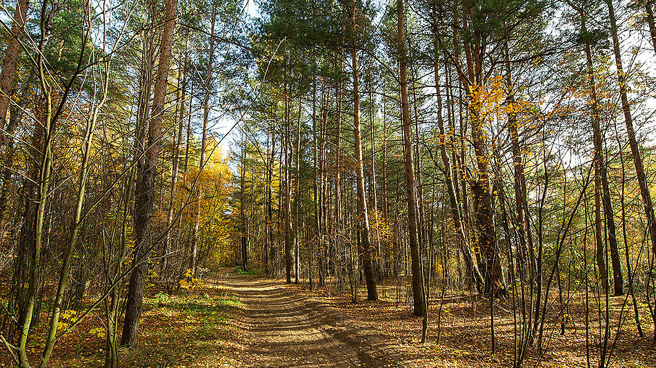 Участок в Витенево