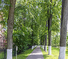 Дуплекс в КП Довиль