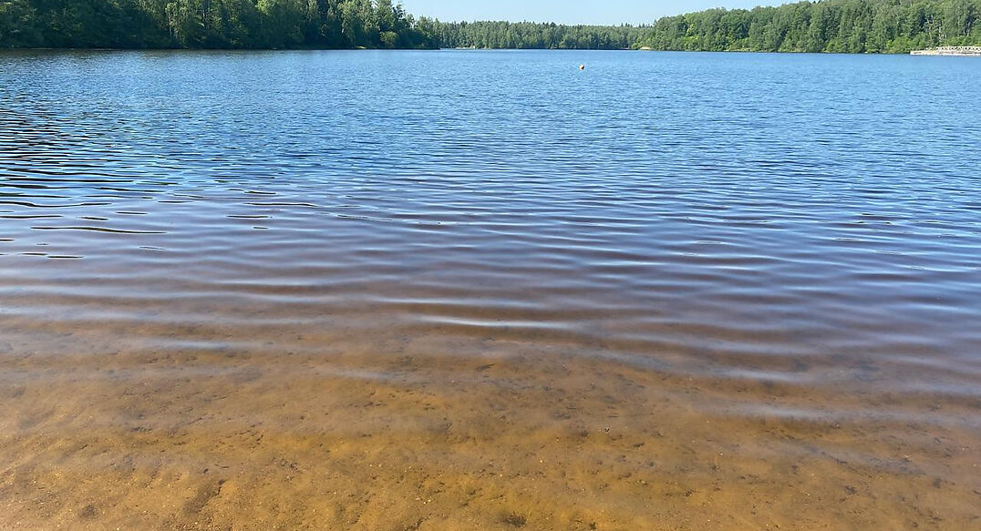 Санатория Тишково