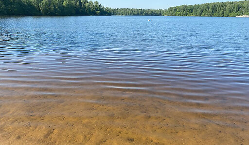 Санатория Тишково