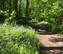 Санатория Тишково