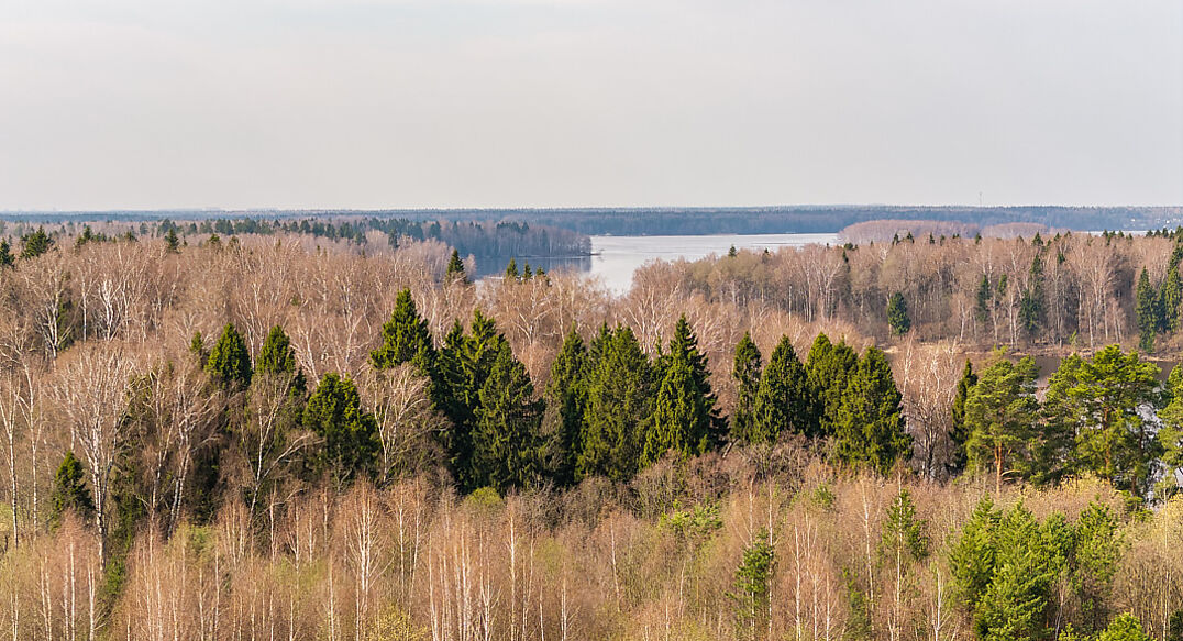 Санатория Тишково