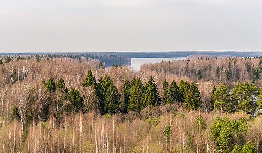 Санатория Тишково