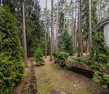 Дом в КП Сосновый бор