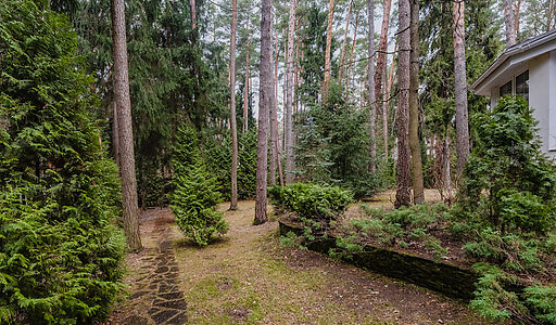 Дом в КП Сосновый бор