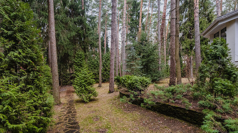 Дом в КП Сосновый бор