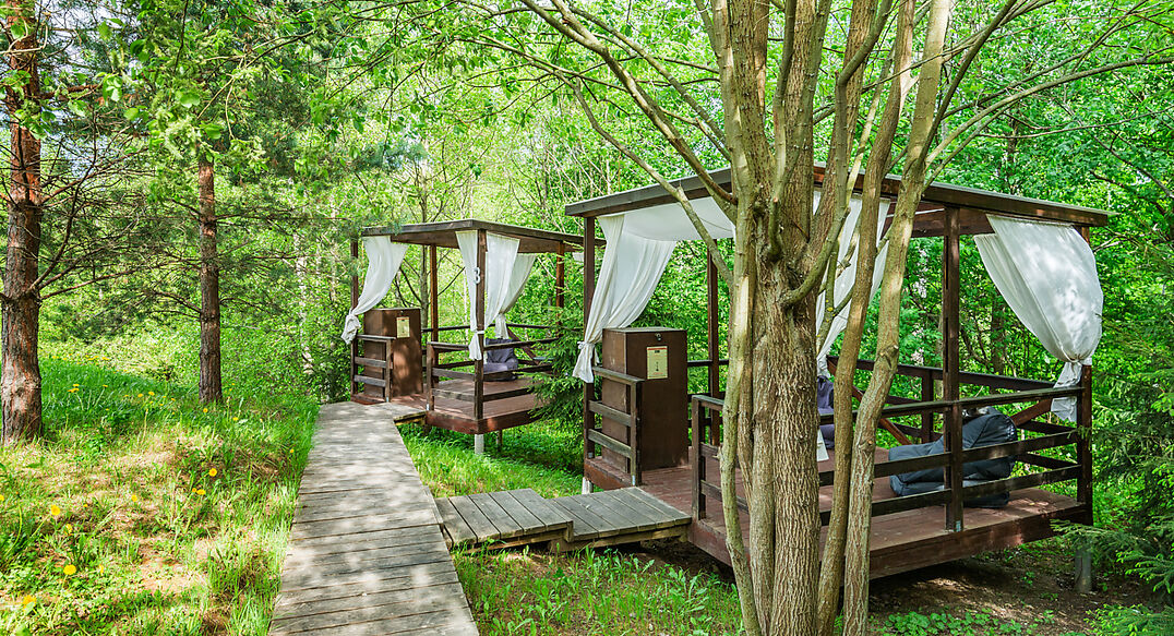 Свежий Ветер