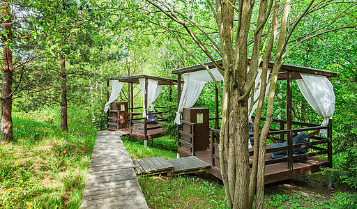 Свежий Ветер