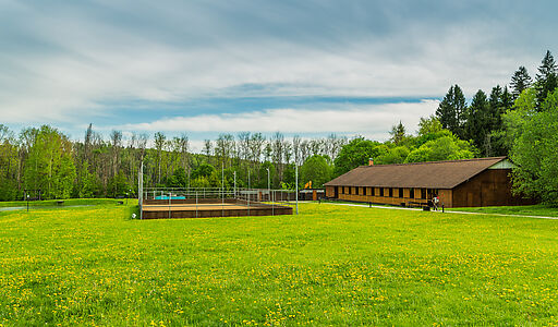 Свежий Ветер