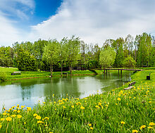 Свежий Ветер