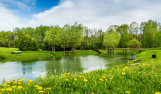 Свежий Ветер