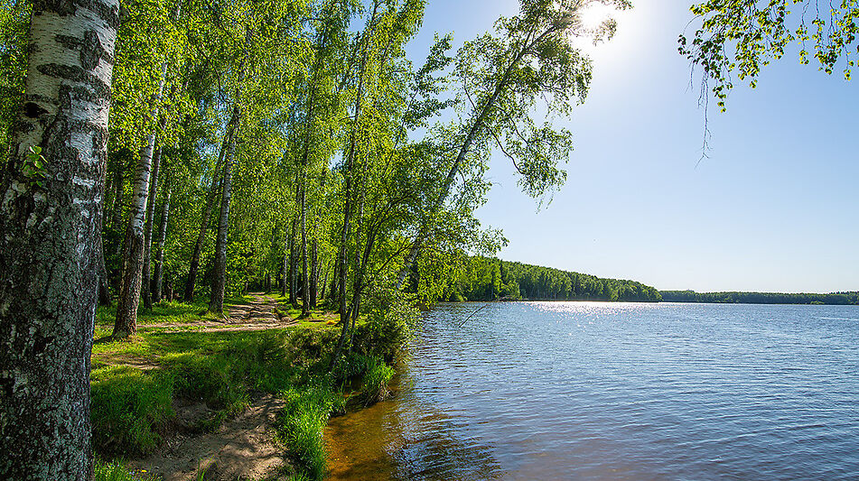 Большой участок в КП Аврора
