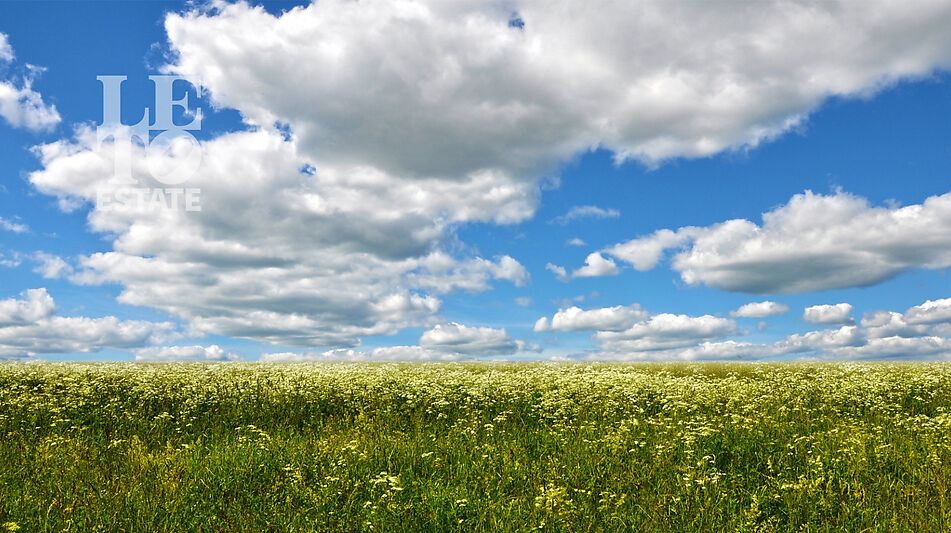 Участок на первой линии в Нефтино