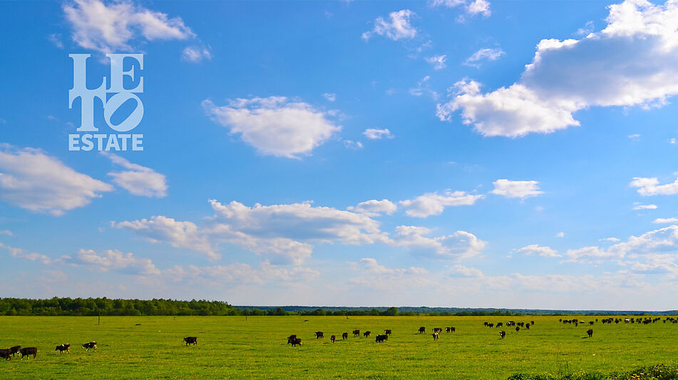 Участок на первой линии в Нефтино