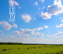 Участок на первой линии в Нефтино