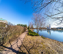 Дом с участком 55 сот в Монолит