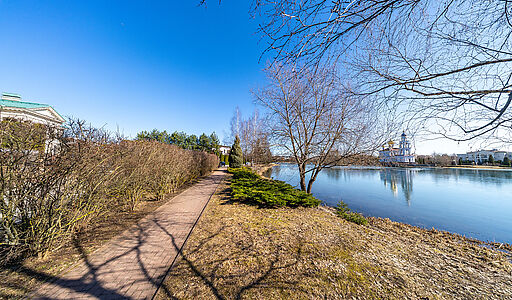 Дом с участком 55 сот в Монолит